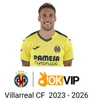 Hình ảnh đá gà Campuchia với chiến kê dũng mãnh