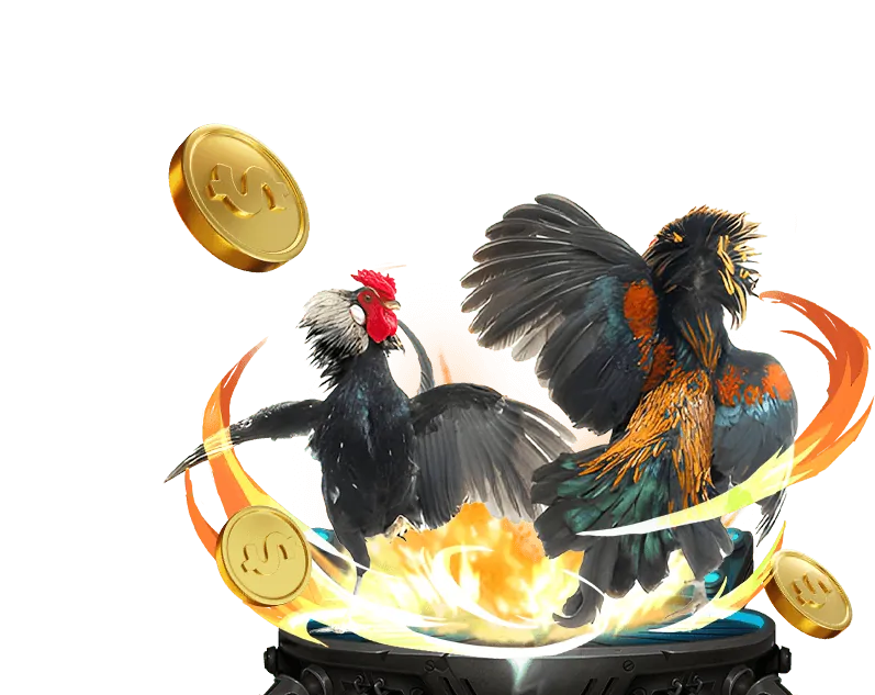 Đá gà trực tuyến 8KBET